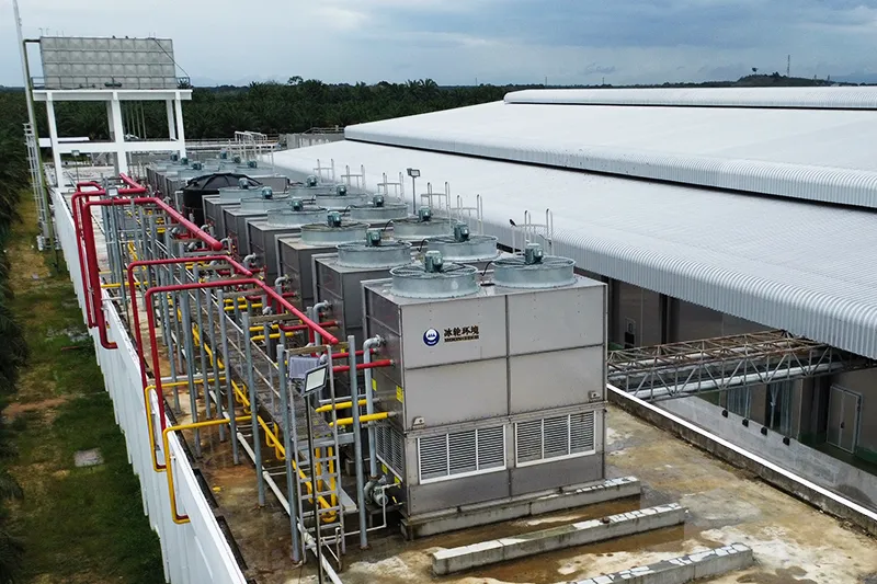 Проект холодильного оборудования на углекислом газе объемом в 6000 тонн (Малайзия)