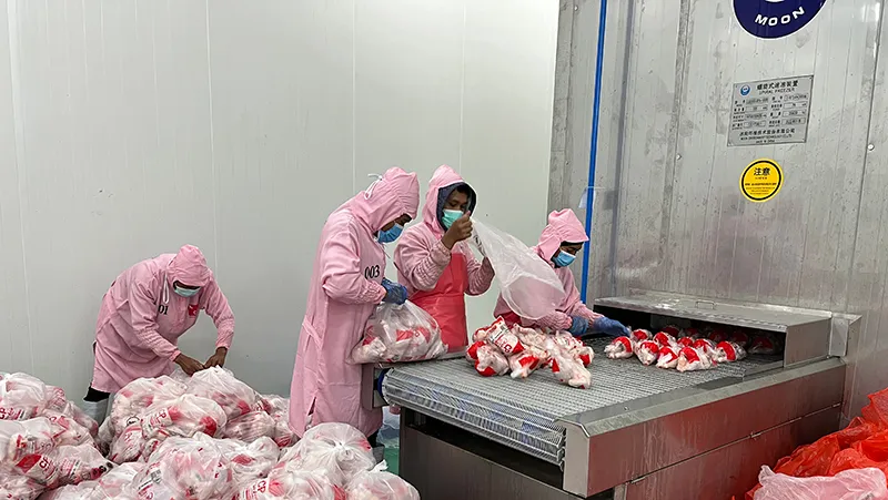 Проект по переработке птицепродуктов – 1.2 миллиона цыплят в день (Индонезия)