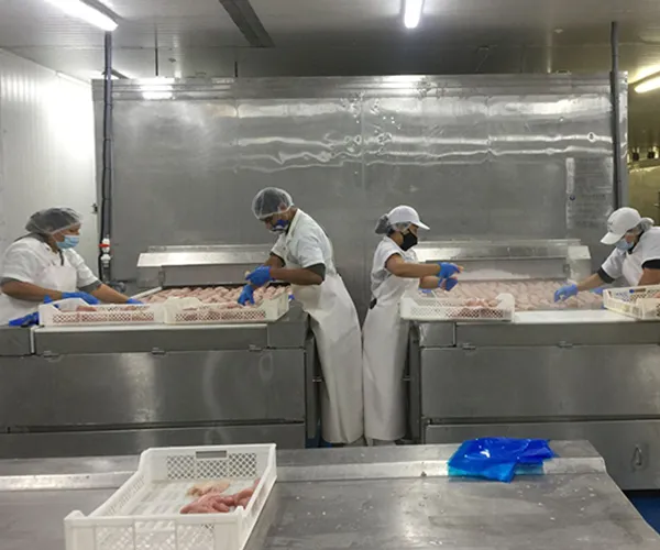 Проект по переработке морепродуктов, Перу