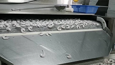 Туннельный морозильный аппарат с пластинчатой конвейерной лентой